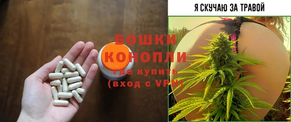 mdma Богородицк