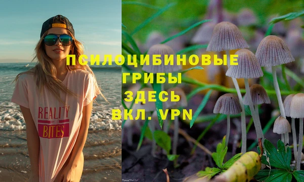 apvp Нефтегорск