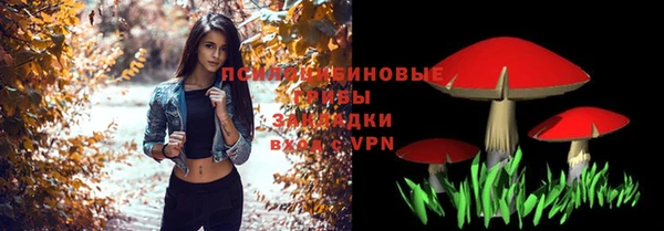 тгк Нефтекумск