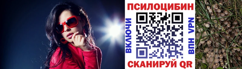 Галлюциногенные грибы Psilocybe  Ветлуга 